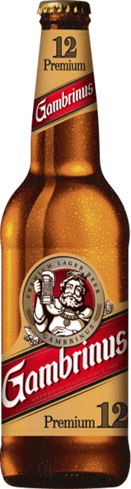 Gambrinus Premium 5% - 20 x 50 cl MW Gambrinus Premium 5% - 20 x 50 cl MW