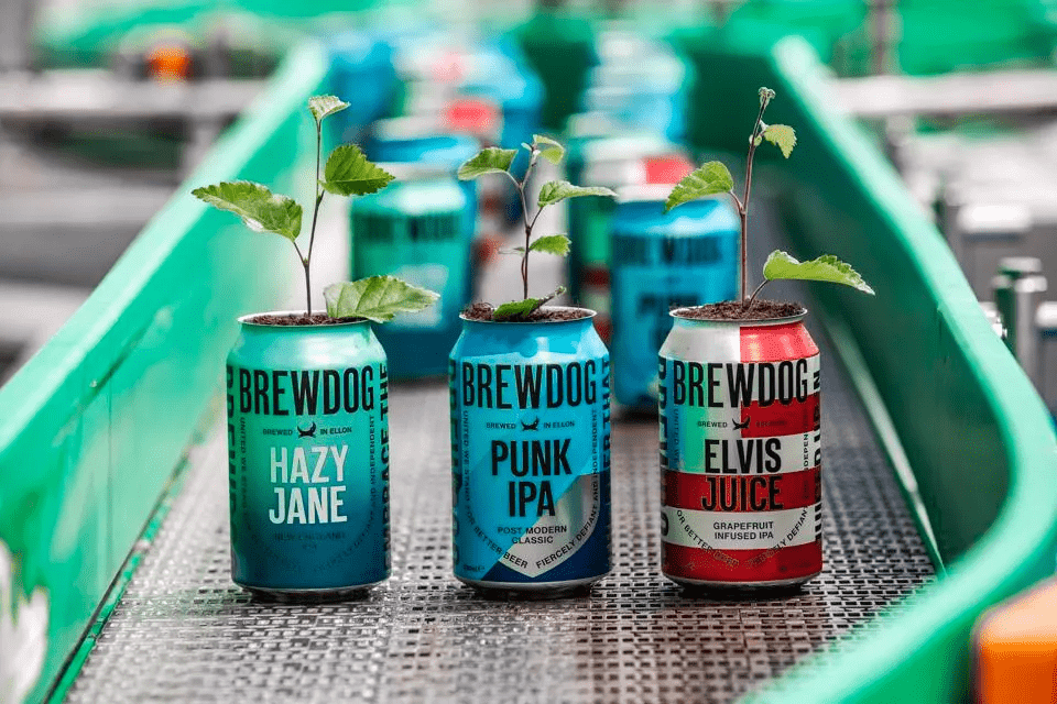 BrewDog