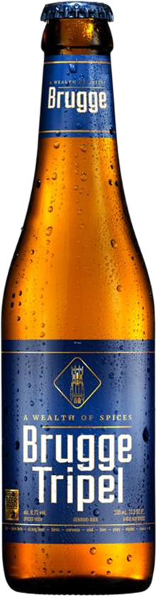 Steenbrugge Tripel 8.7% - 33 cl