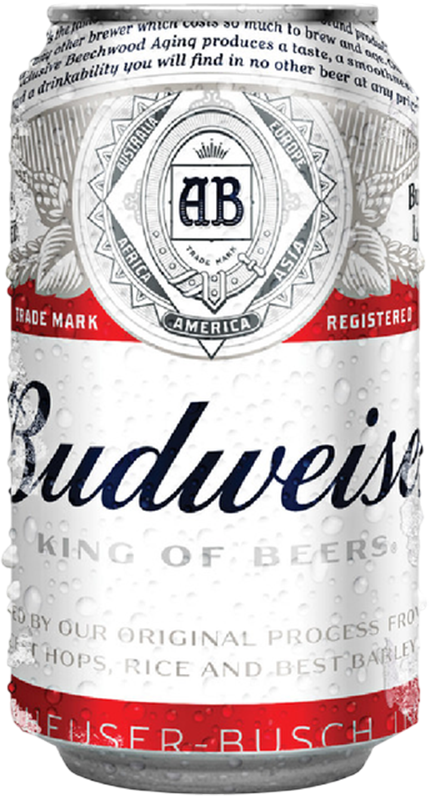 Budweiser Lager 5% - 33 cl Dose