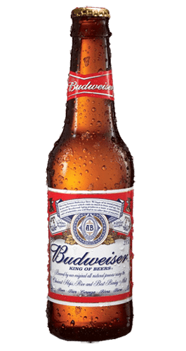 Budweiser Lager 5% - 24 x 33 cl