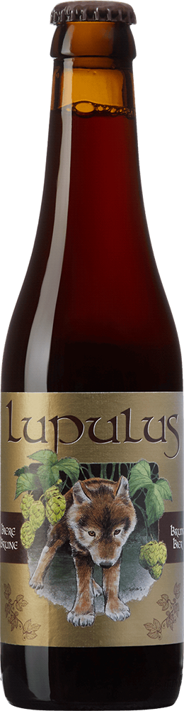 Lupulus Brune 8.5% - 33 cl