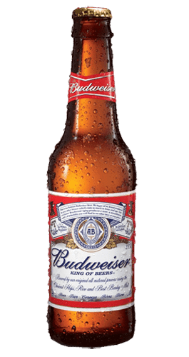 Budweiser Bier Lager 5,0% Vol. 24 x 33 cl Amerika